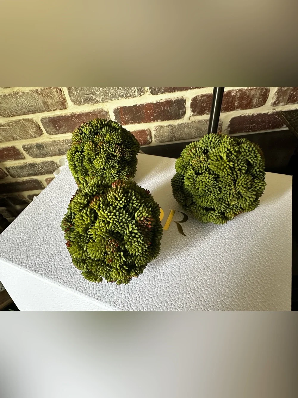 Decorative Sedum Balls by Creative Displays - 3 balls